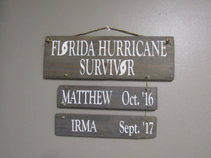 Florida Hurricane Survivor in Driftwood with Matthew and Irma